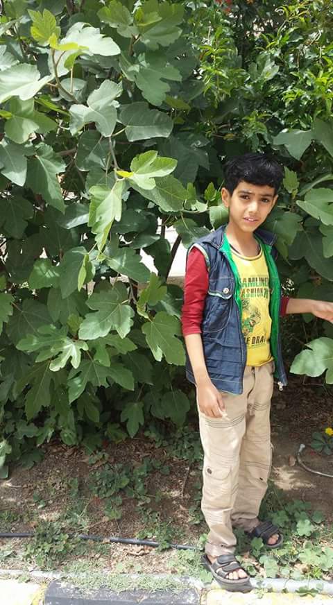 11223848_1003979859655044_7340796197623315826_n