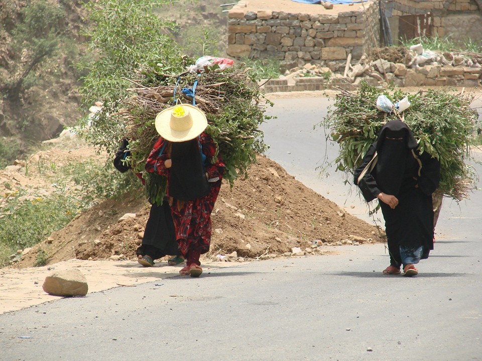 13151839_1000805476662519_533289458977455240_n