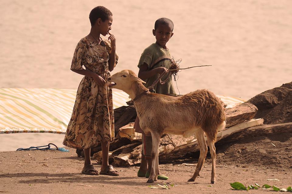 12936689_602135333272990_4227361294851509046_n