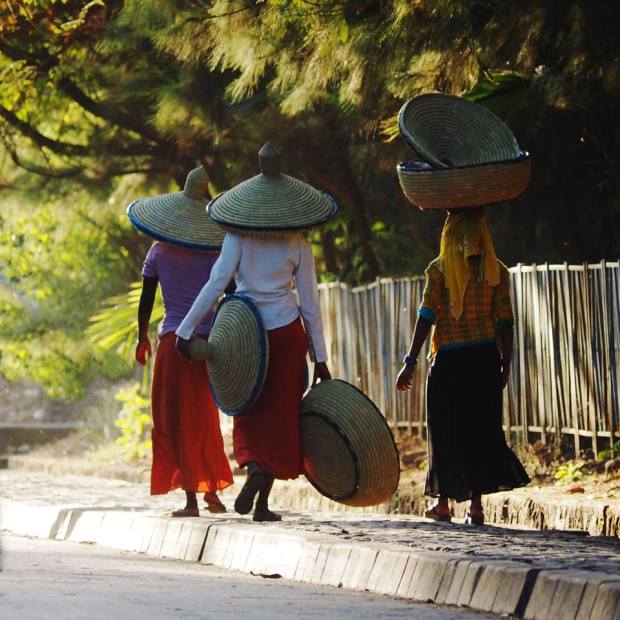 12993378_608444205975436_3469799581434501206_n